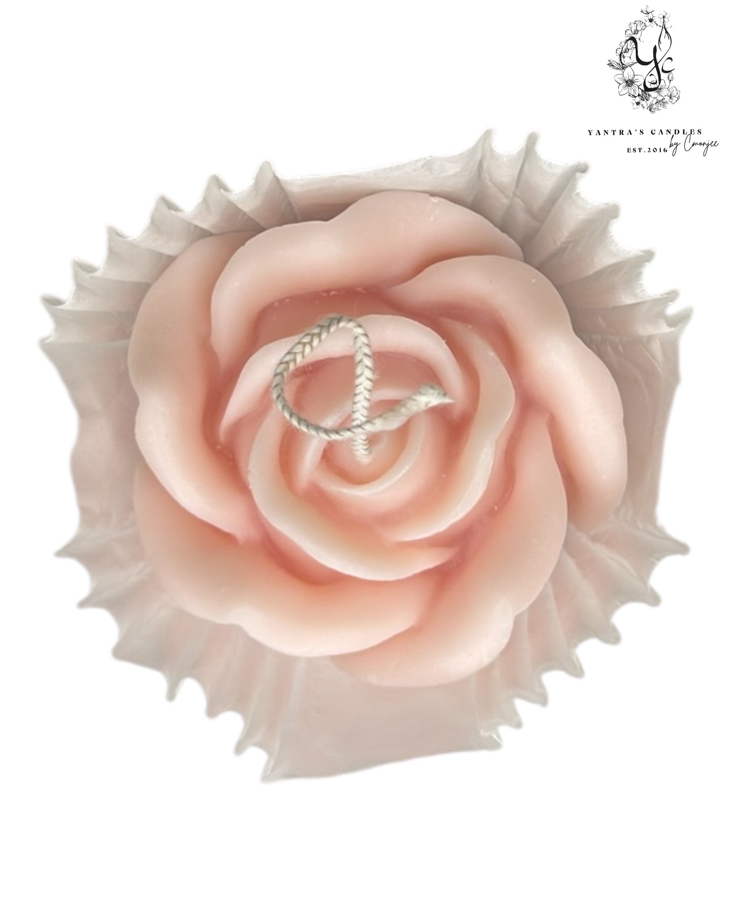 Cutie cadou ” Touch of a Rose”